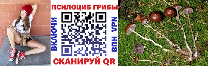 купить закладку  shop телеграм  Галлюциногенные грибы мухоморы  Рыбинск 
