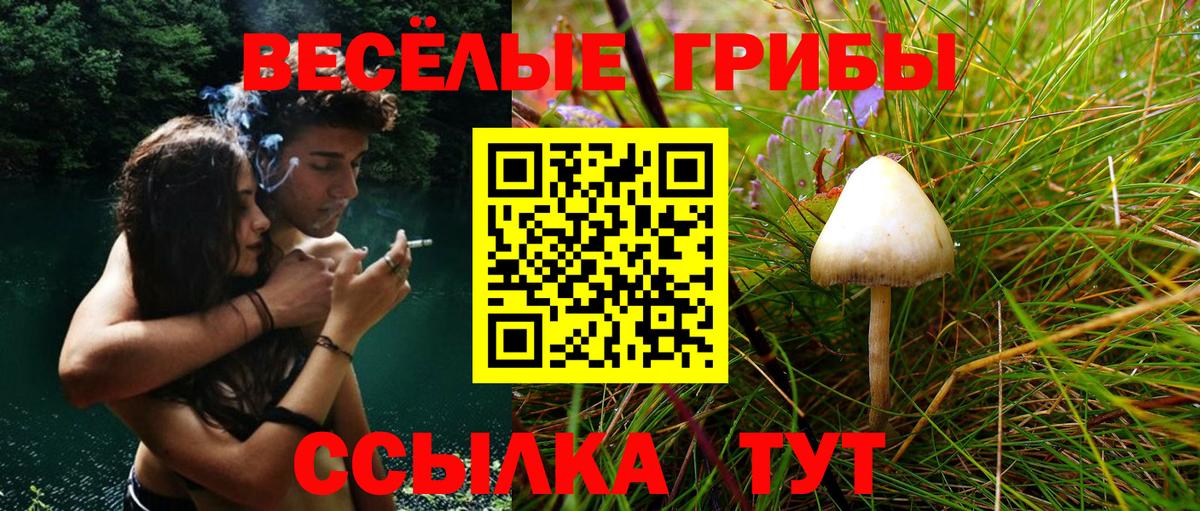 Галлюциногенные грибы MAGIC MUSHROOMS Рыбинск